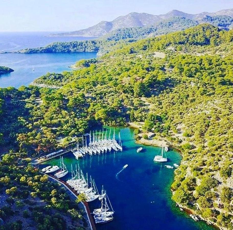 Green Forest Holiday Village Ölüdeniz Buitenkant foto