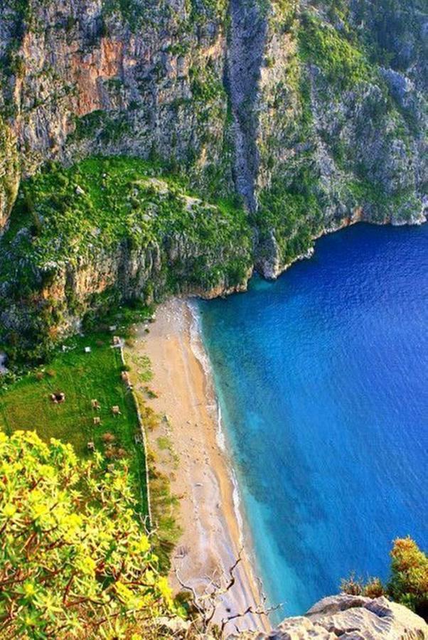 Green Forest Holiday Village Ölüdeniz Buitenkant foto